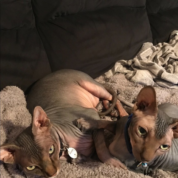 OUR CLOSET RULES - Picture 8 of 9